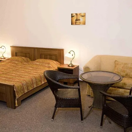 Pensionat Satyam Brno