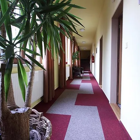 Satyam Pensionat Brno